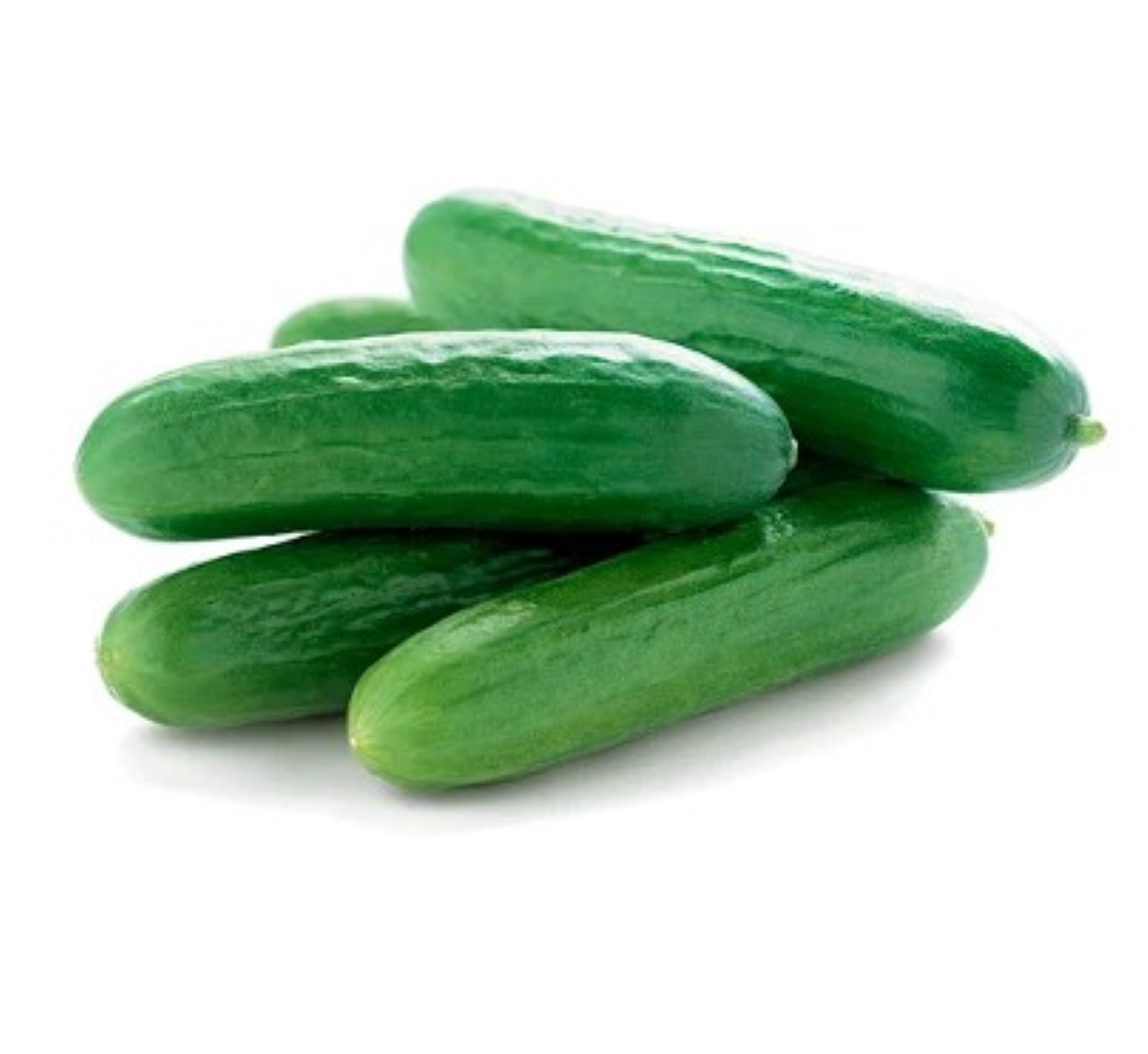 FRESH CUCUMBER MINI SMOOTH 